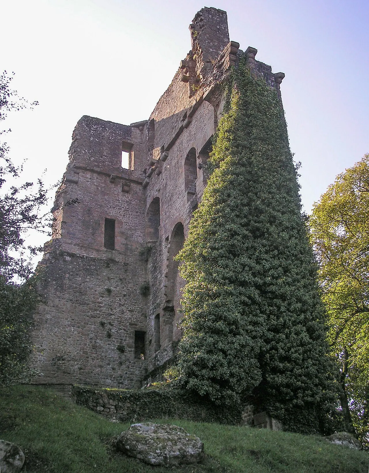 Ruines du donjon