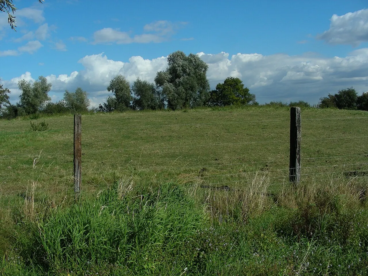Motte féodale