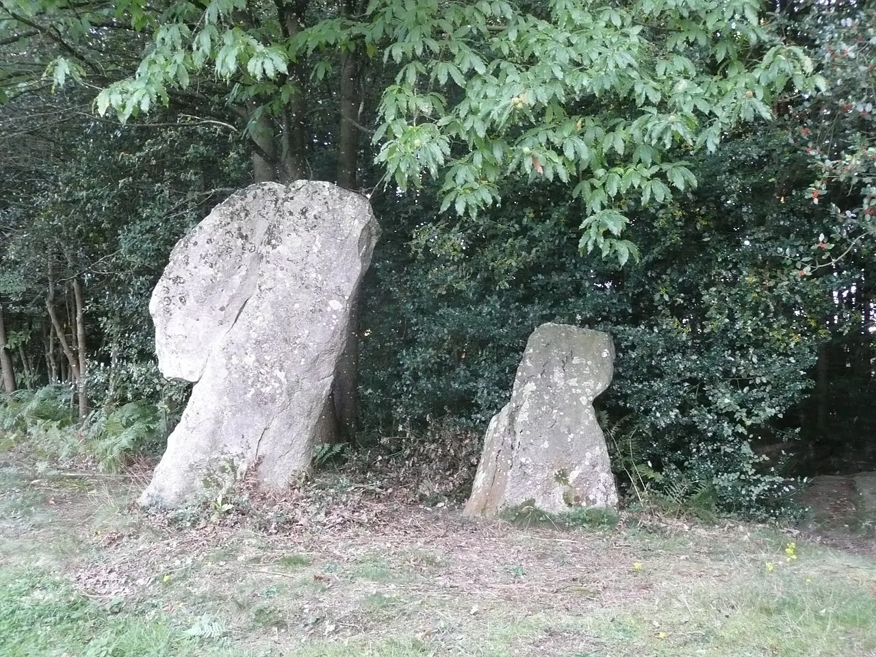 Menhir de la pierre du coq