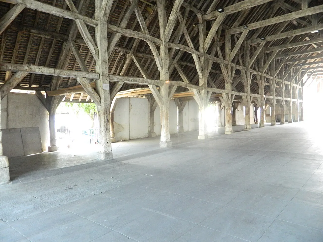 Halle