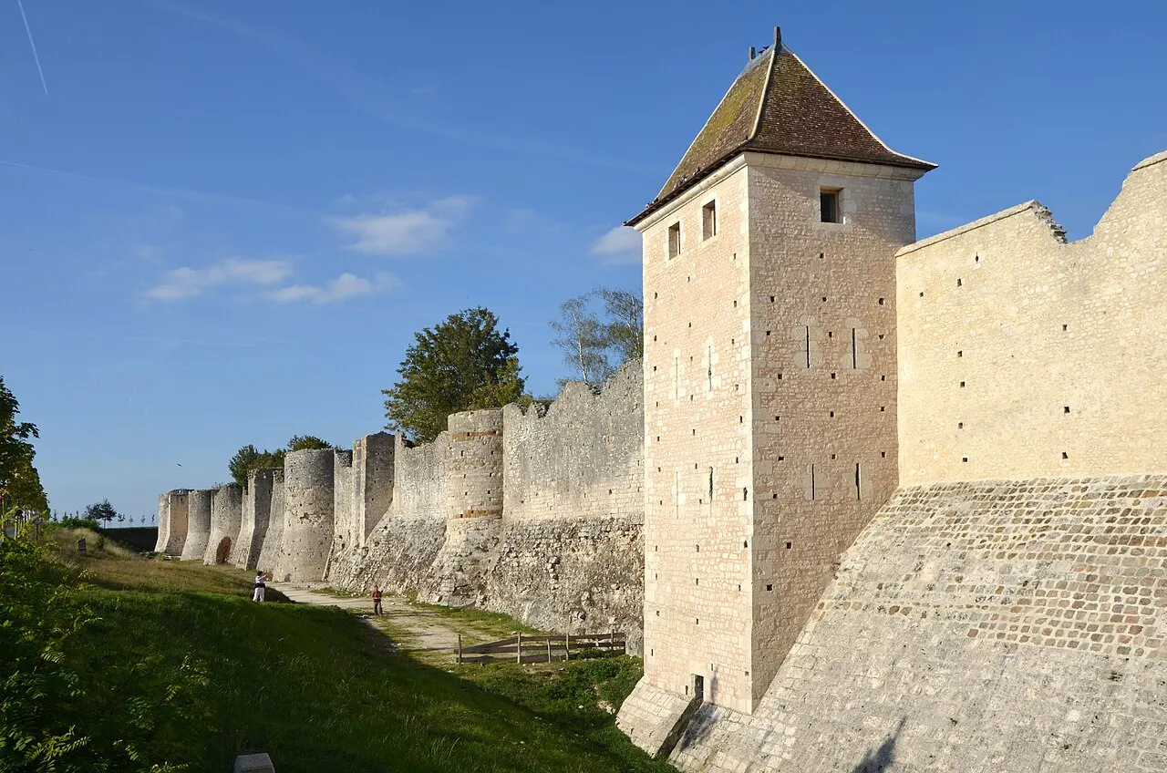 Les aigles des remparts