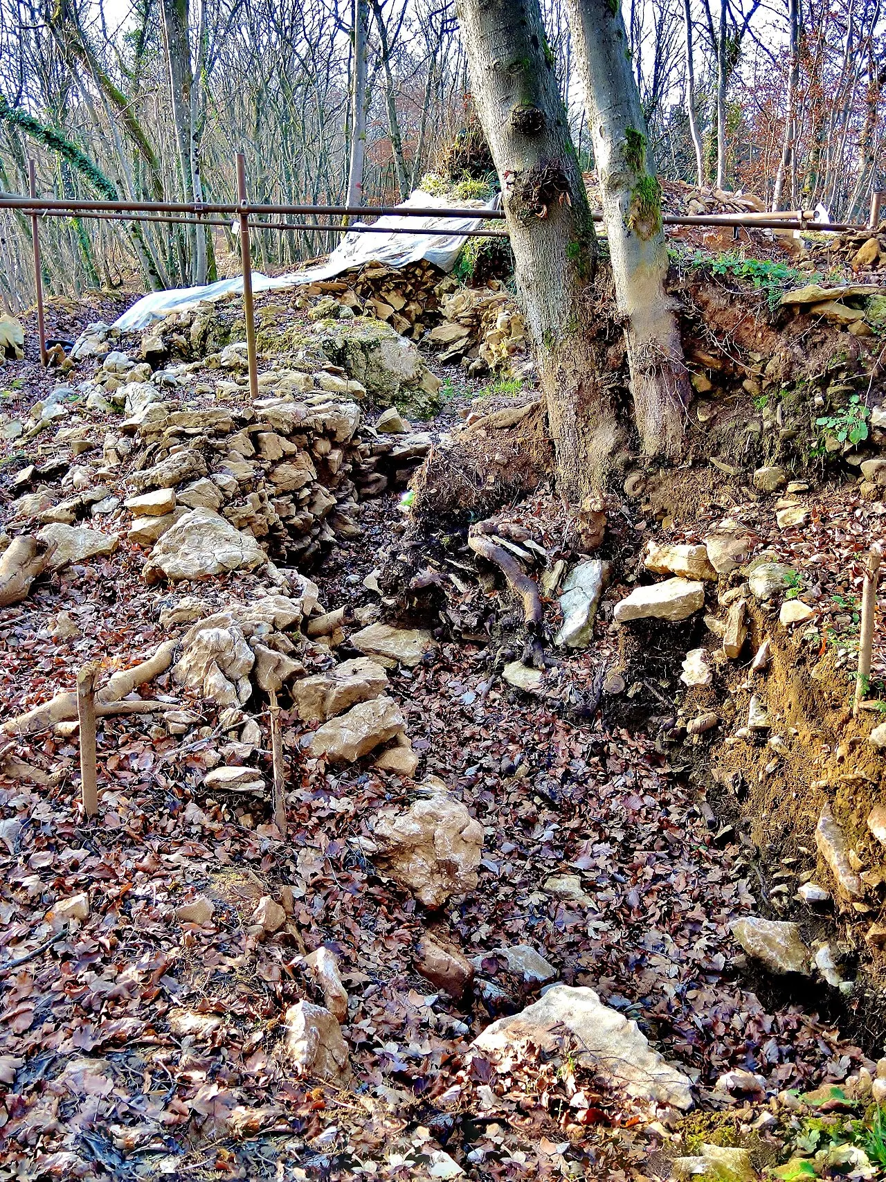 Habitat fortifié de Bois de la Miotte
