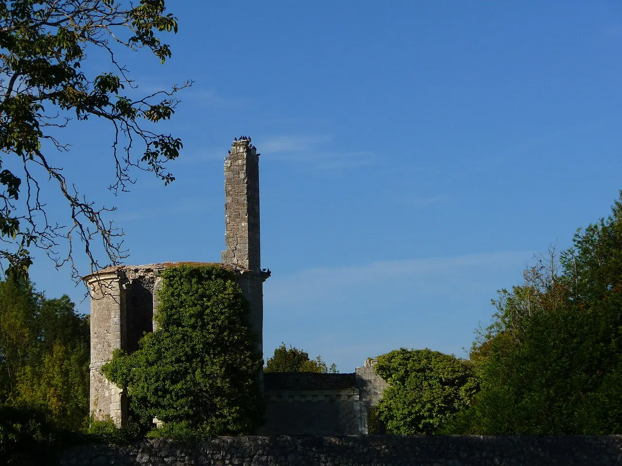 Ruines du château