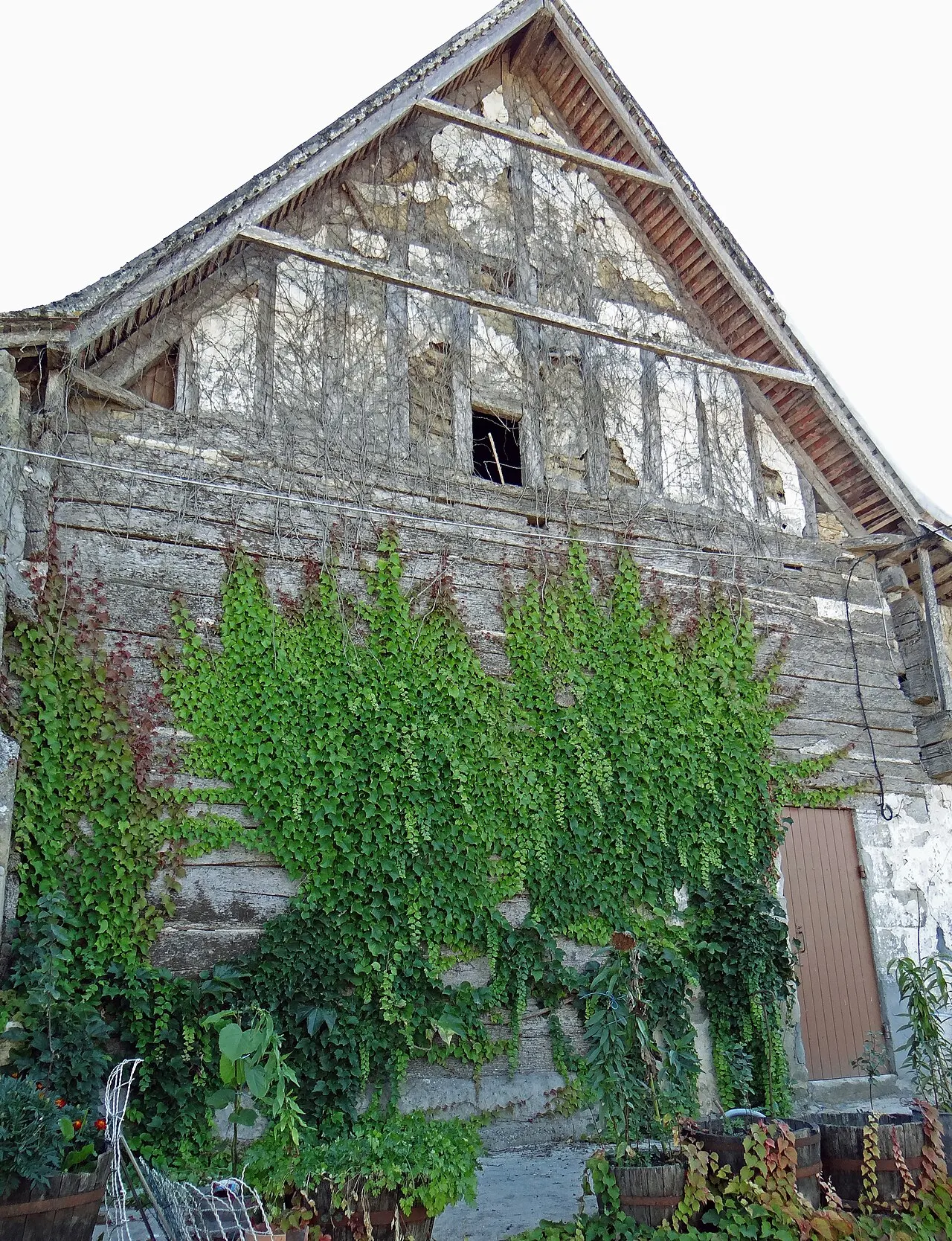 Maison à empilage de poutres du Buzard