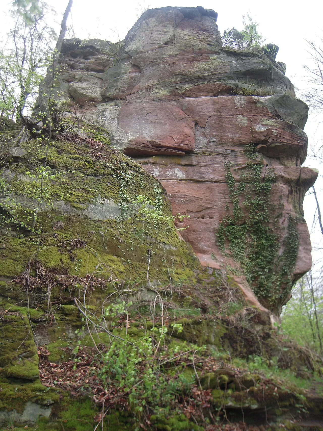 Ruines du château du Helfenstein