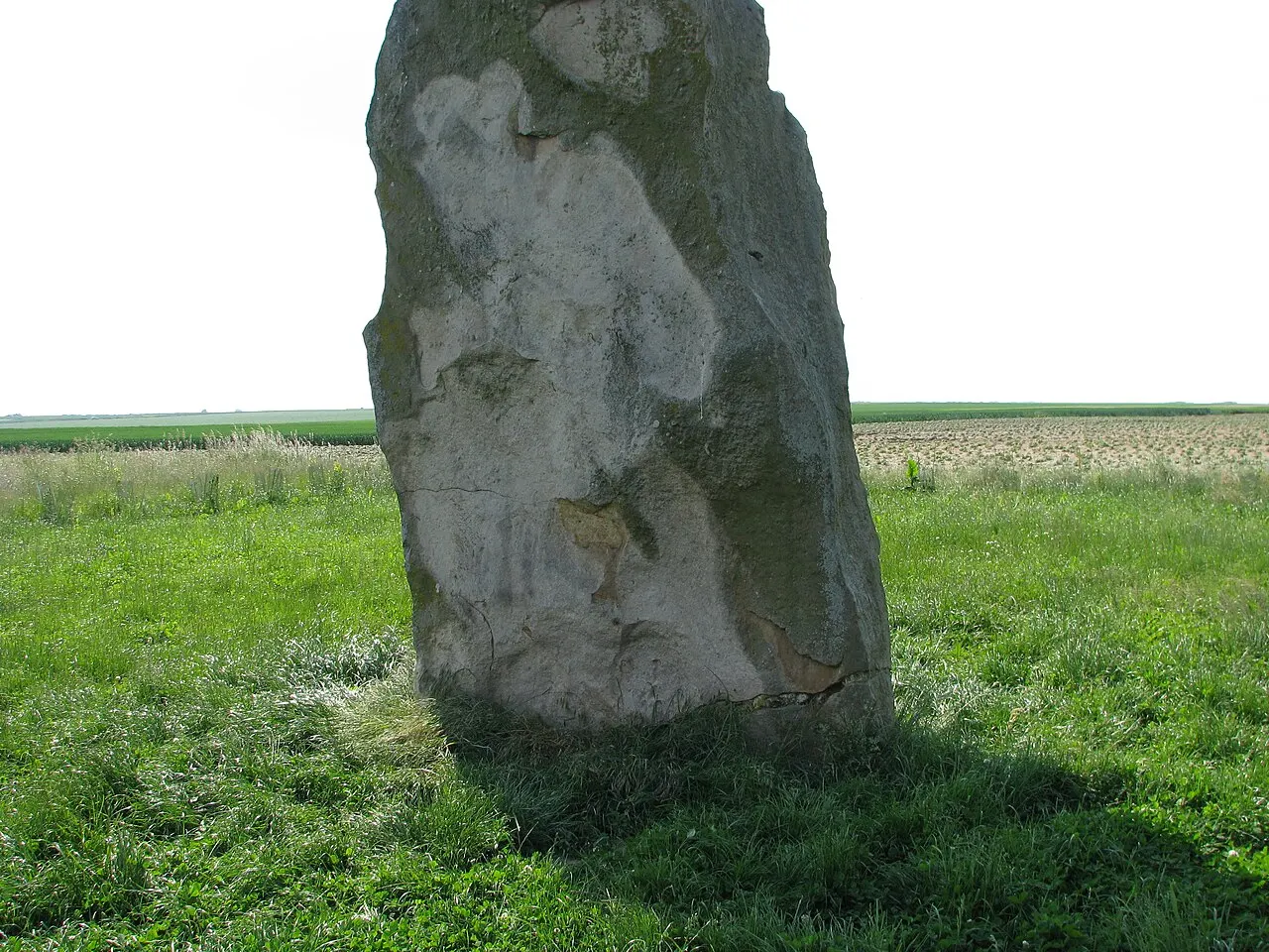 Lécluse