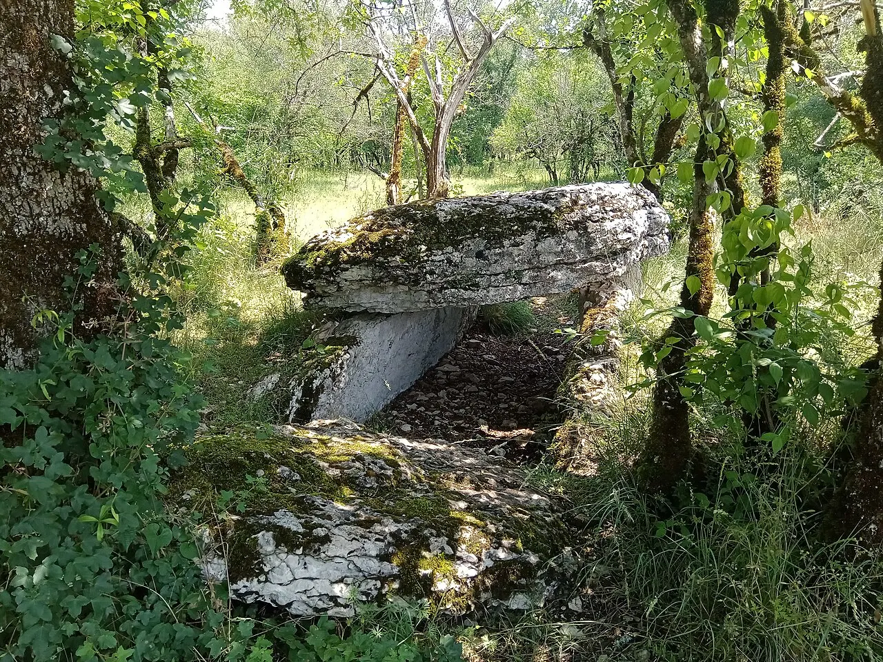 Dolmen du Joncas
