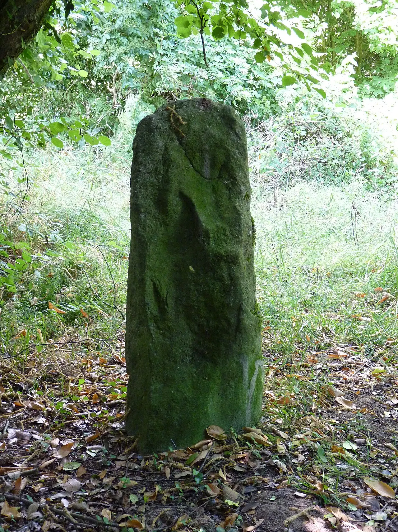 Deux Menhirs de Kergoff