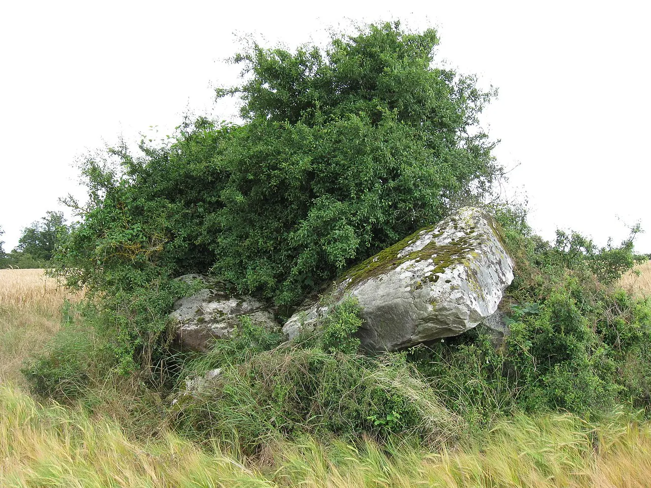 Dolmen dit la Roche aux Loups