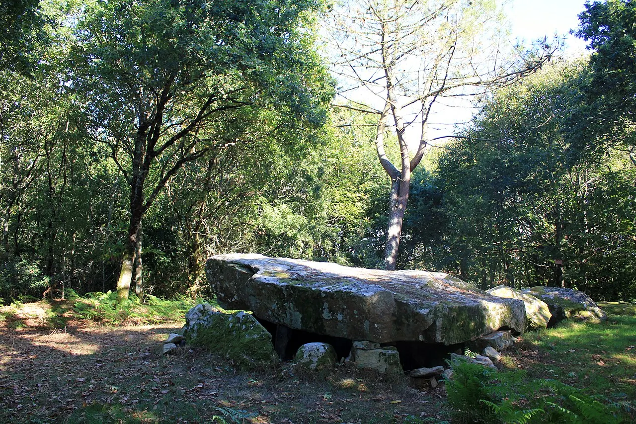 Dolmen à galerie à support gravé de Mané-er-Loh, dit Mané-Bras