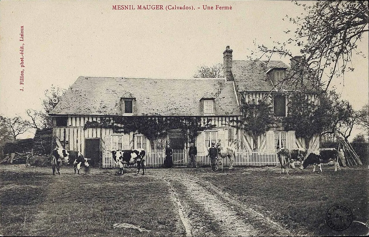 Ferme en pans de bois