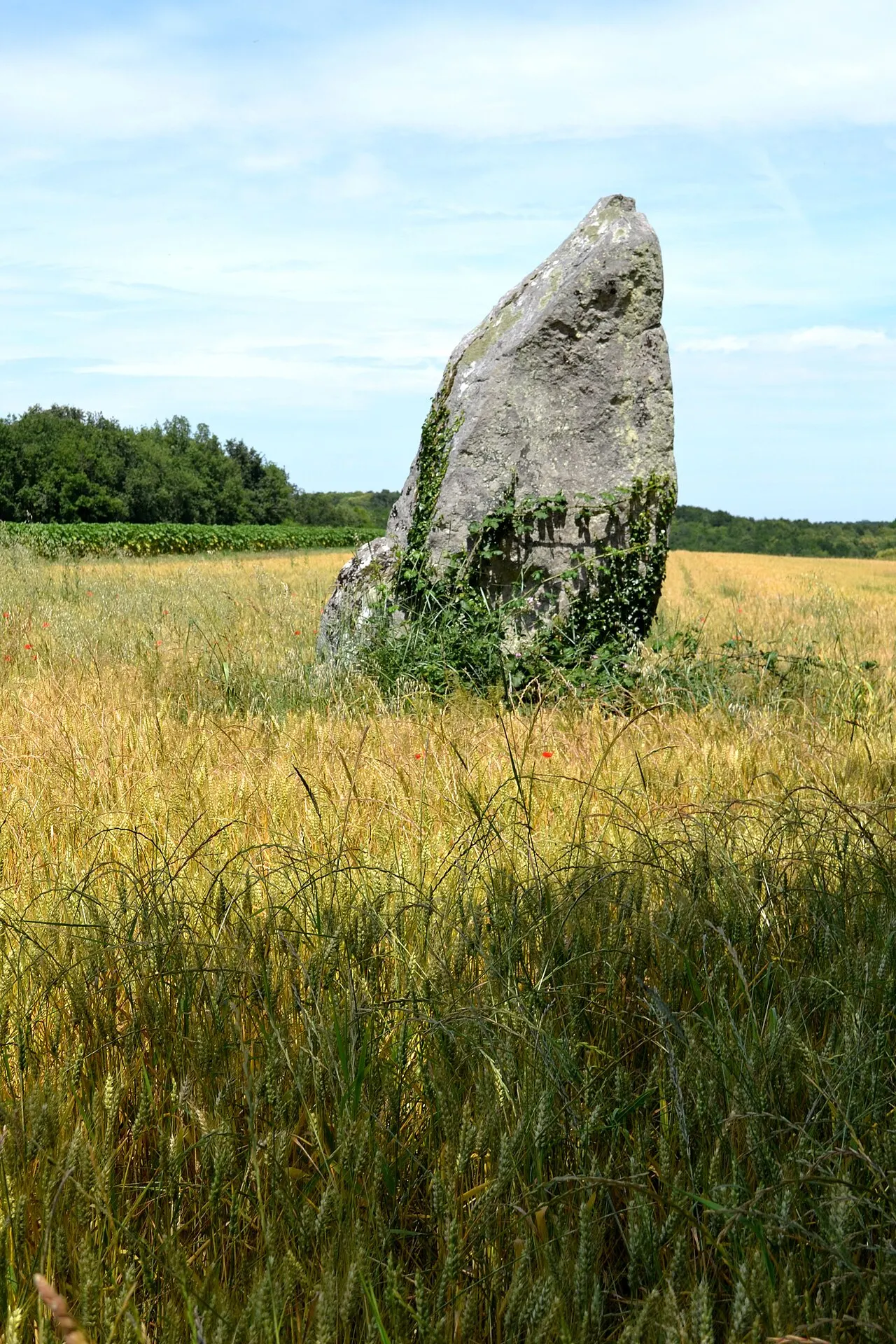 Pierre Longue du Bouchet