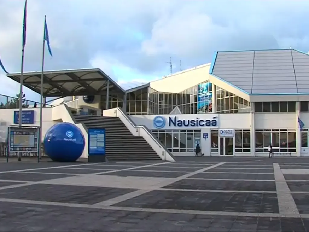 Piscine de nausicaà
