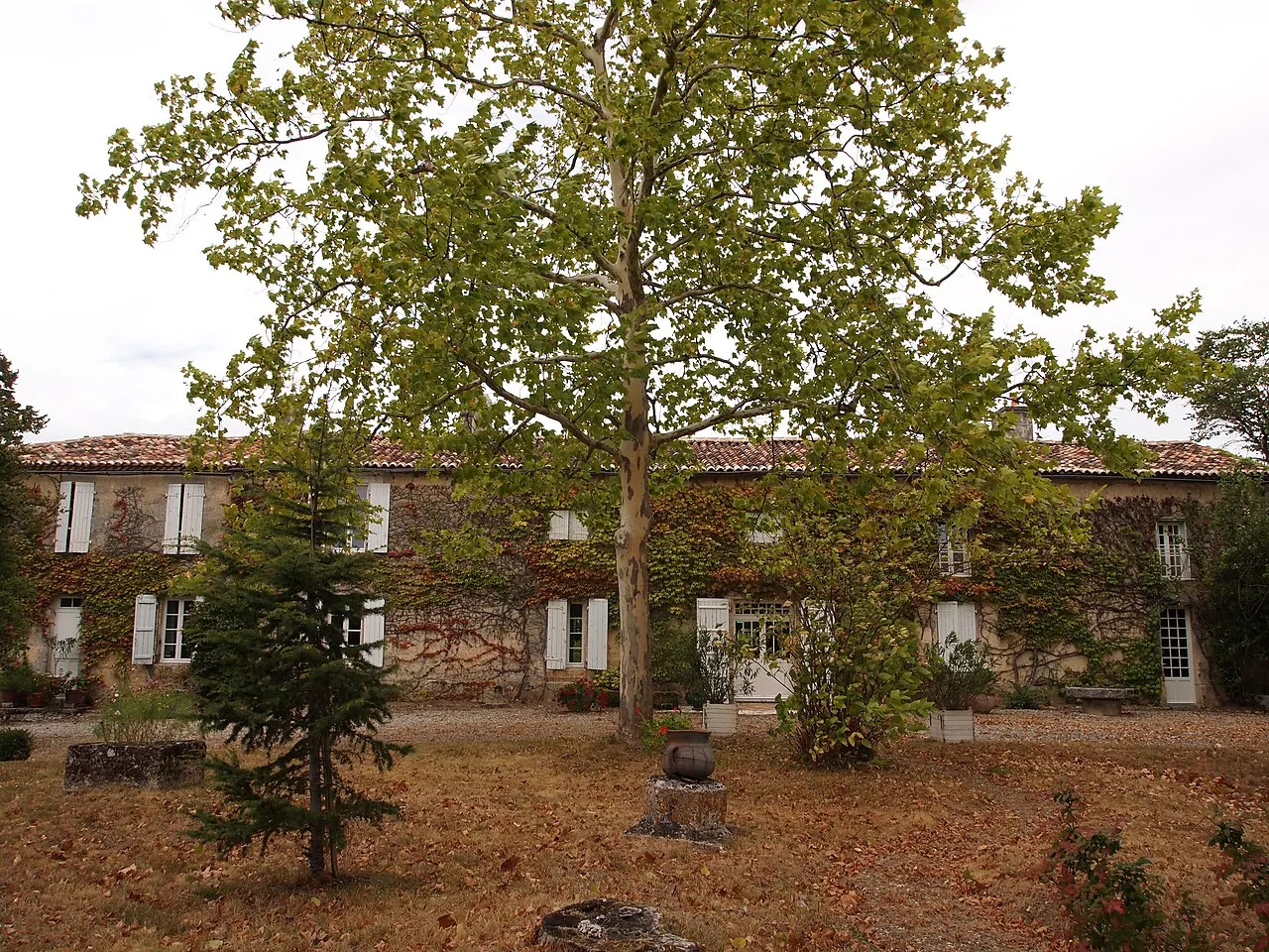 Domaine de la Forêt