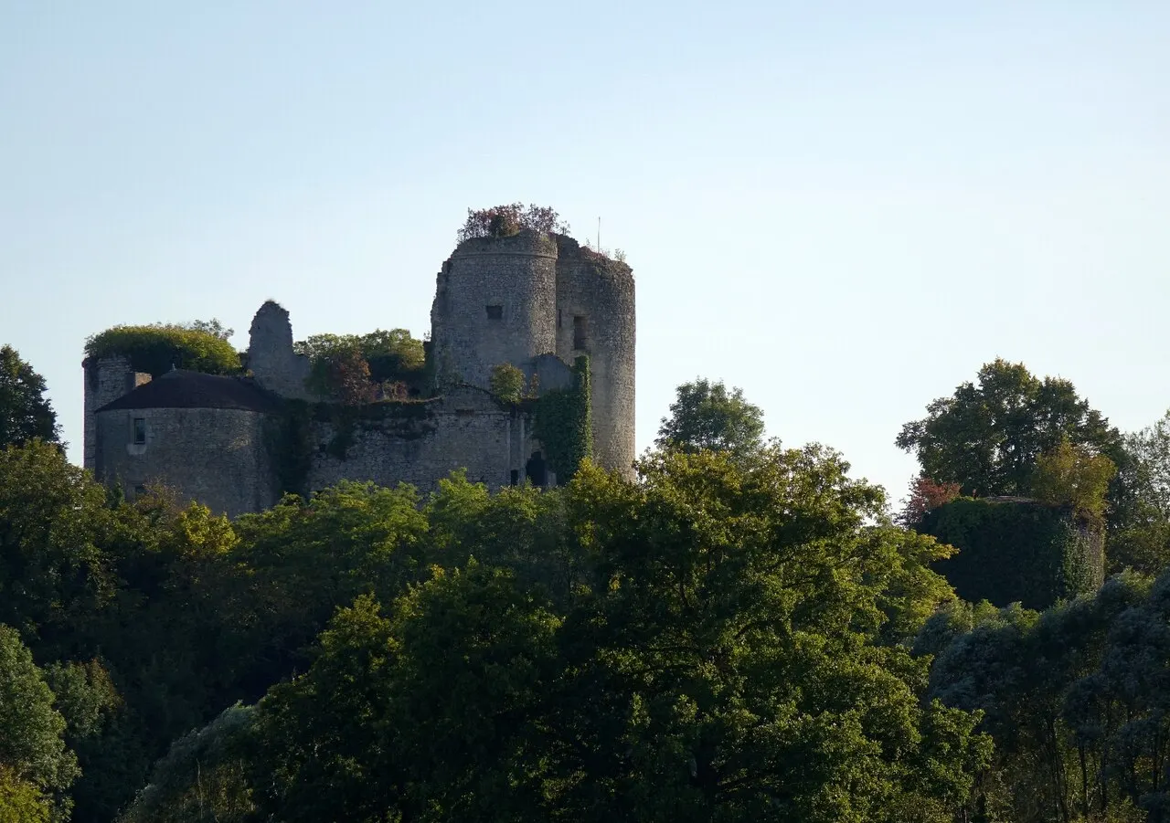 Château de Montaigu-le-Blin