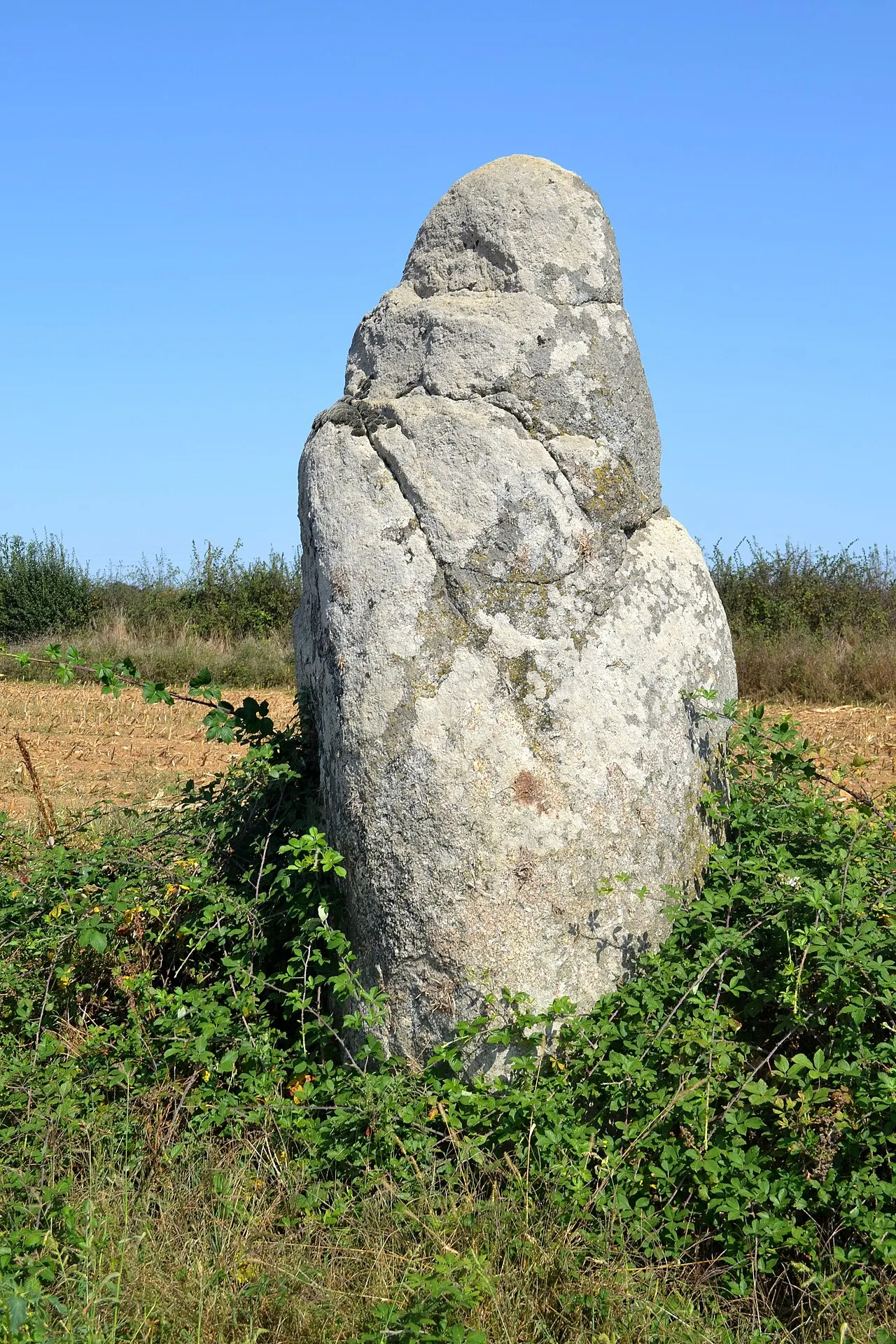 Menhir des Petites Jaunières