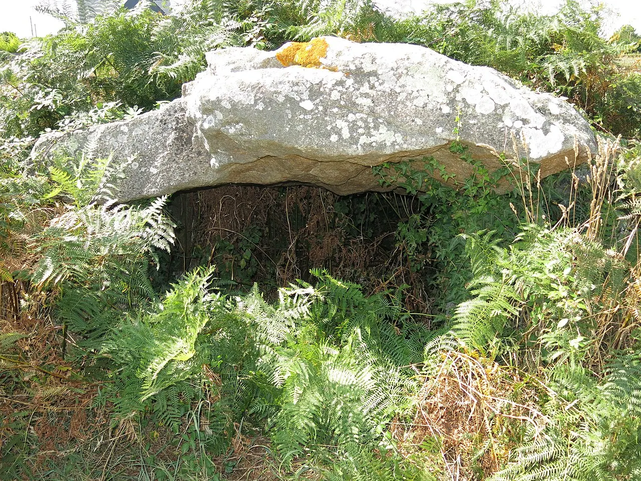 Dolmen à galerie avec les restes de son tumulus