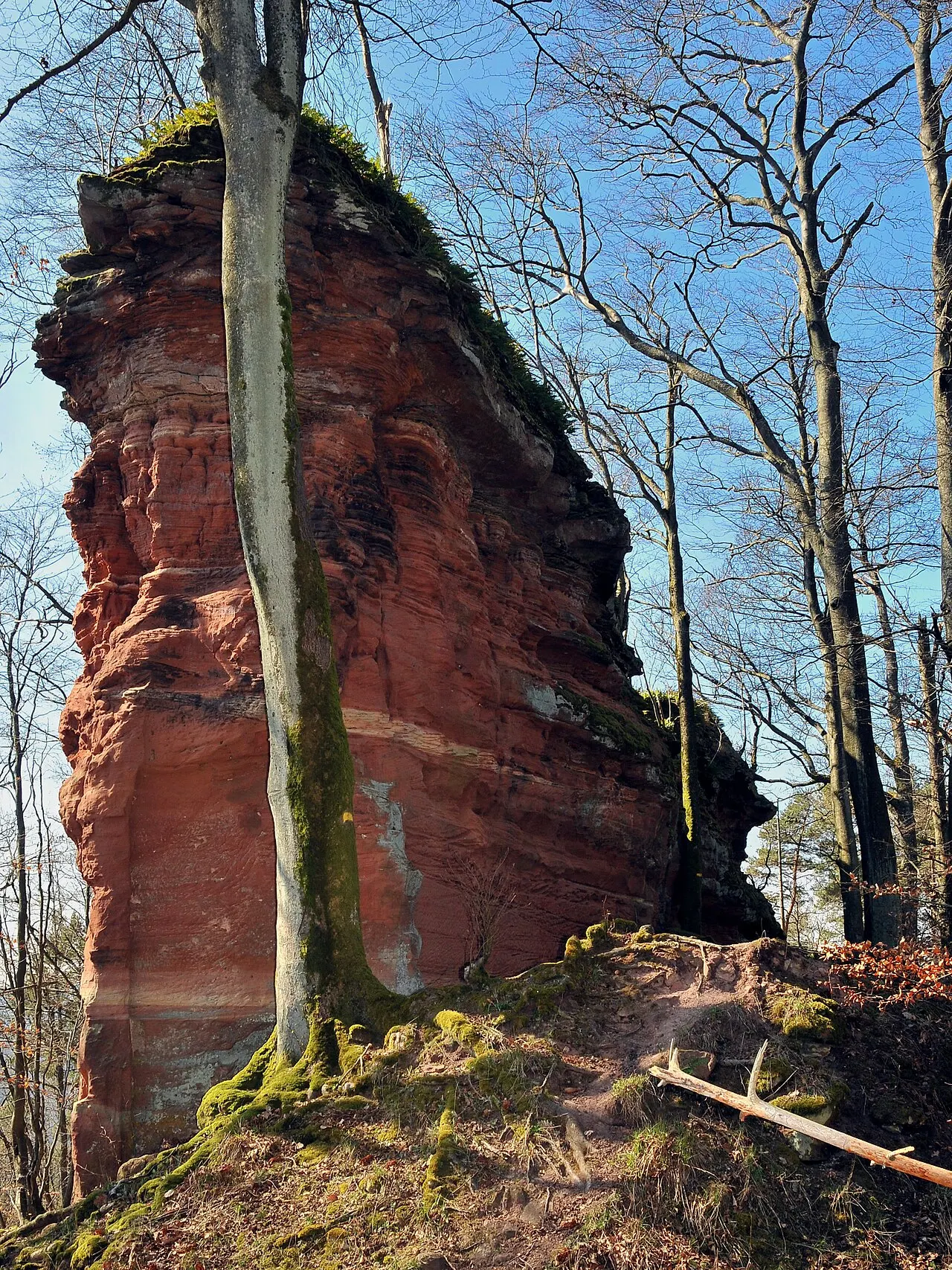 Château de Wittschloessel