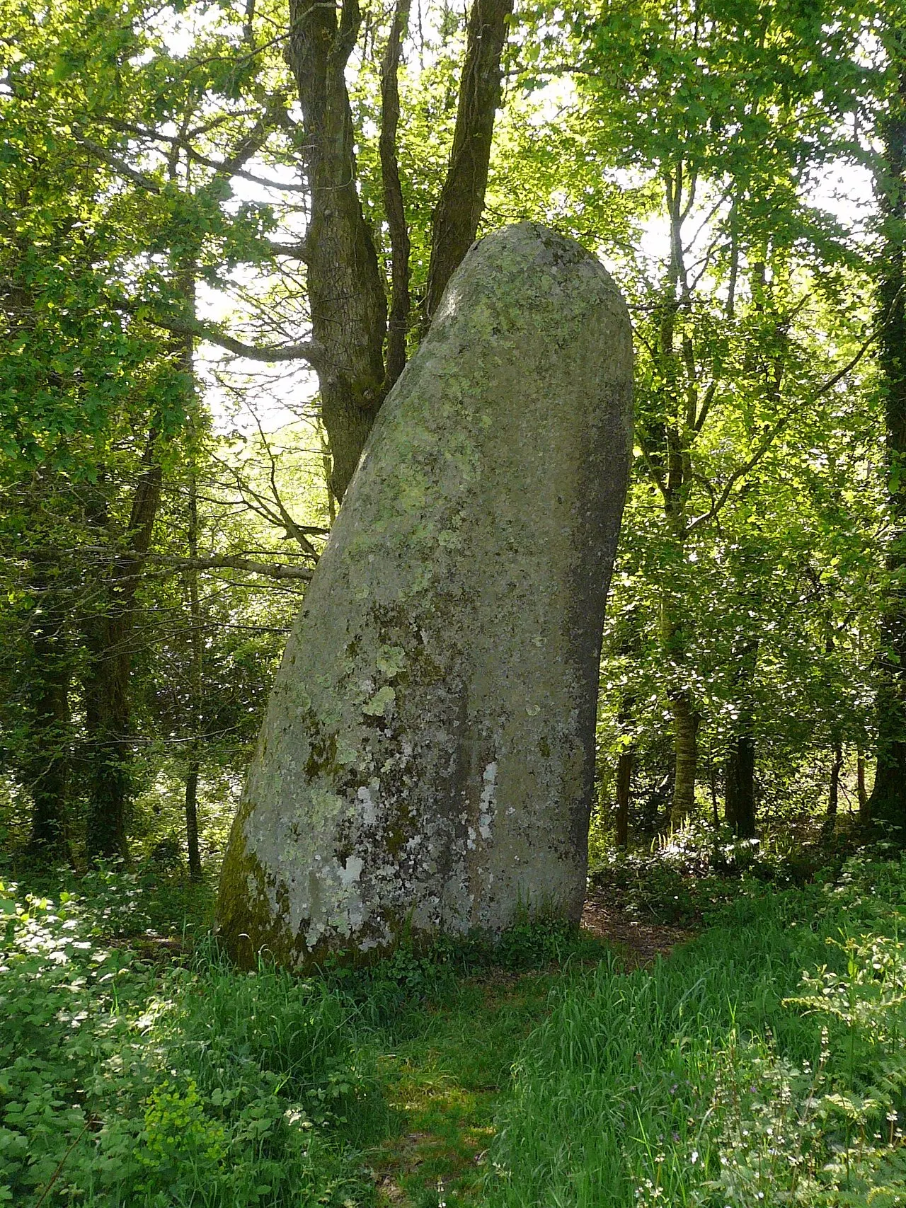 Menhir