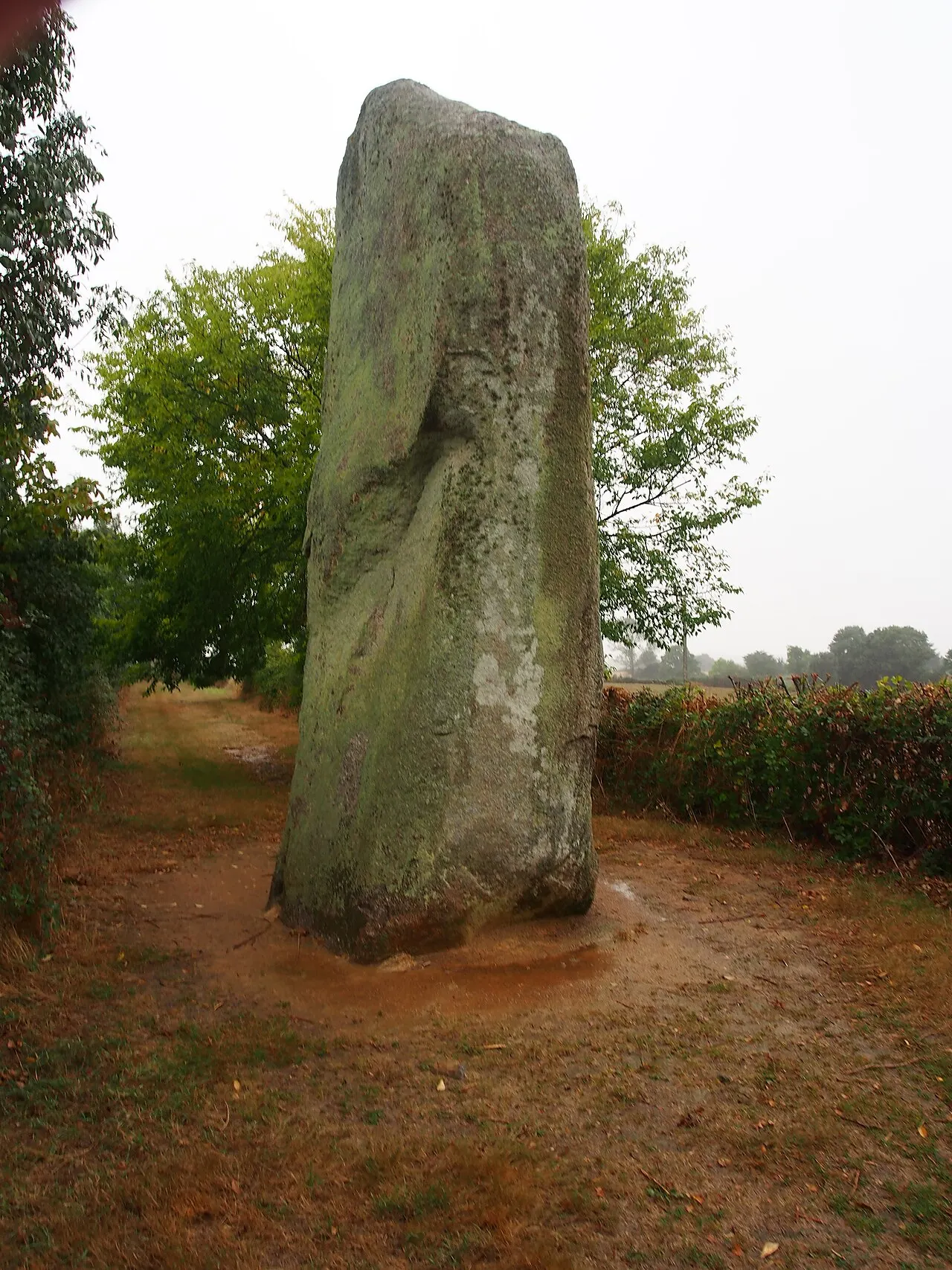 Deux menhirs du Plessis