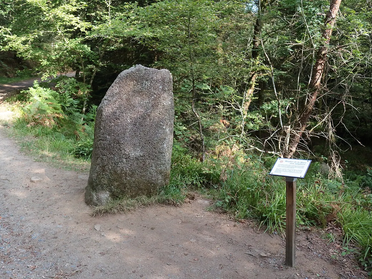 Menhir de la Mare aux Sangliers