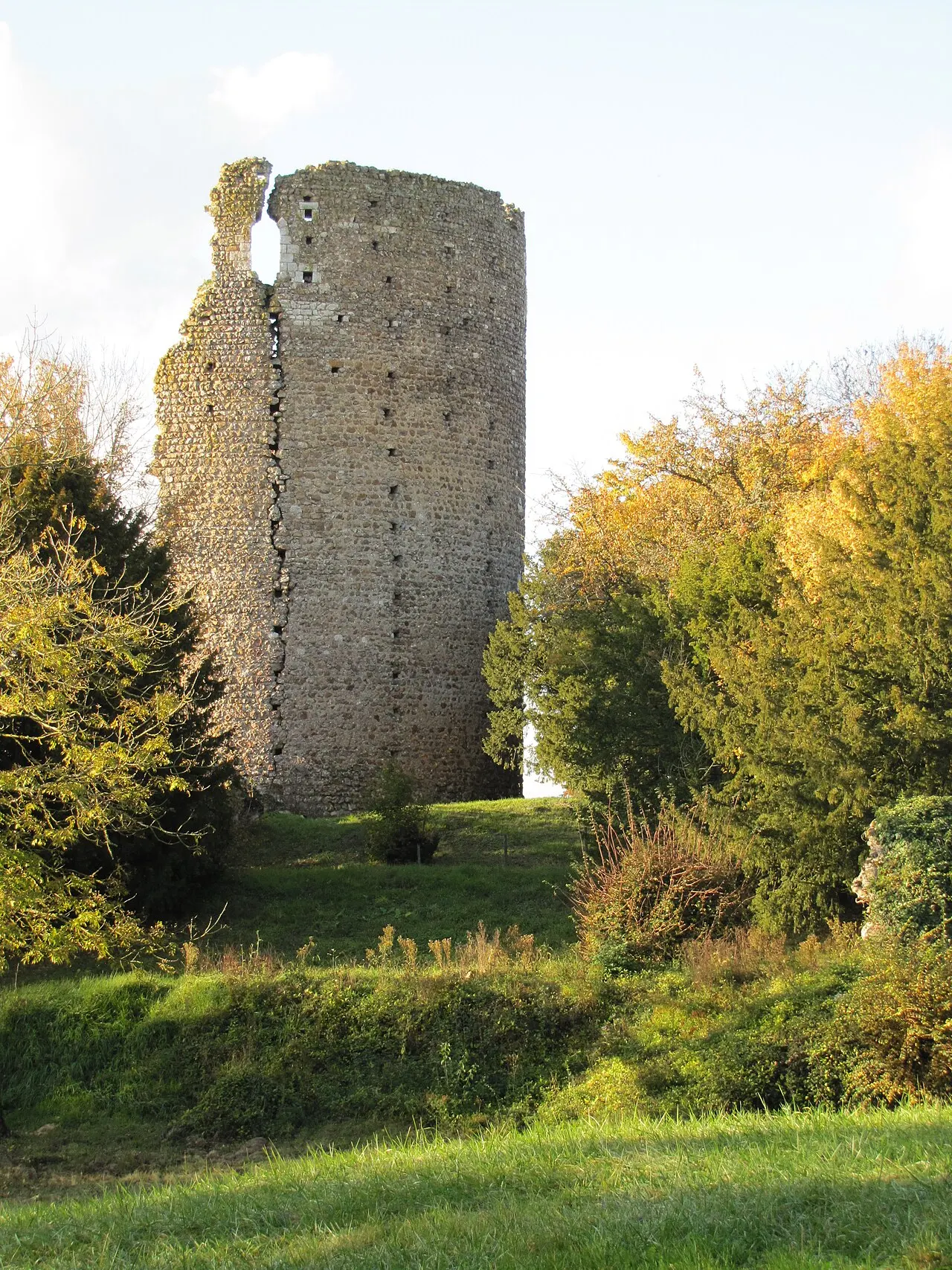 Château fort de Fréteval