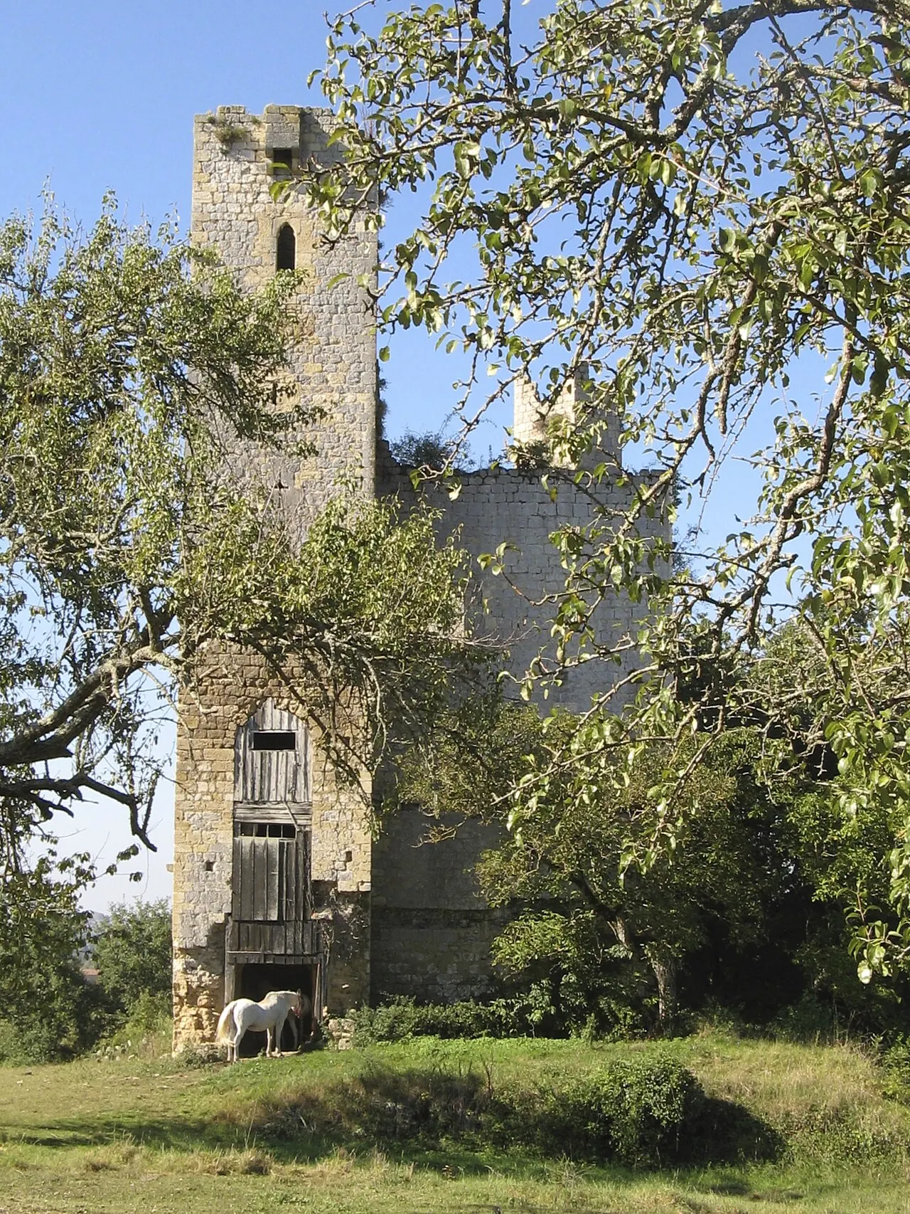 Château de Tauzia