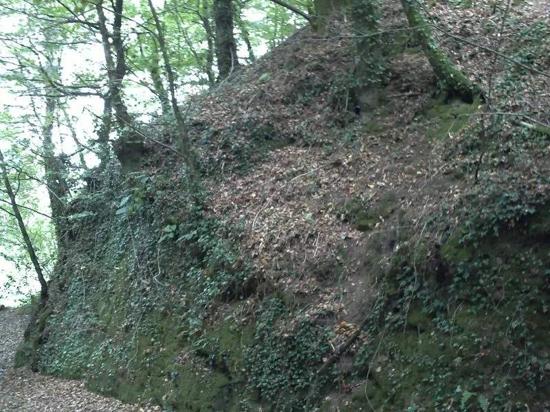 Motte castrale du Roc’h