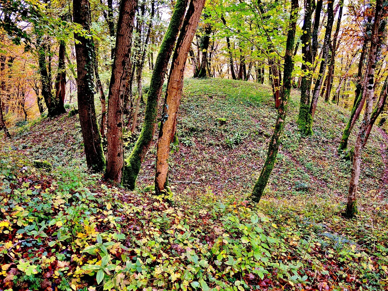 Motte castrale de « La Malatière »