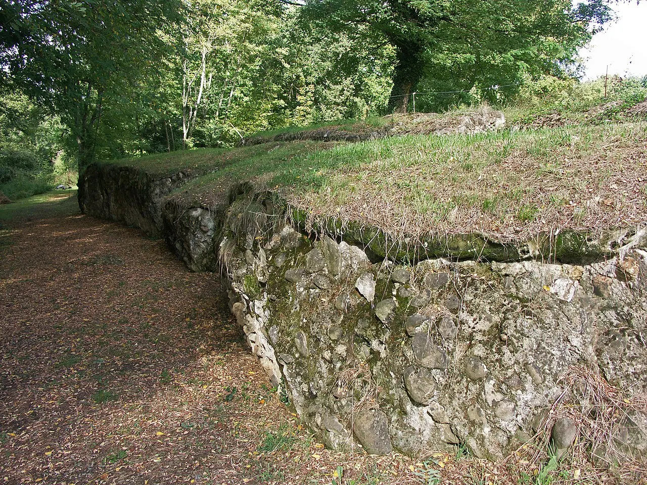 Saint-Lézer