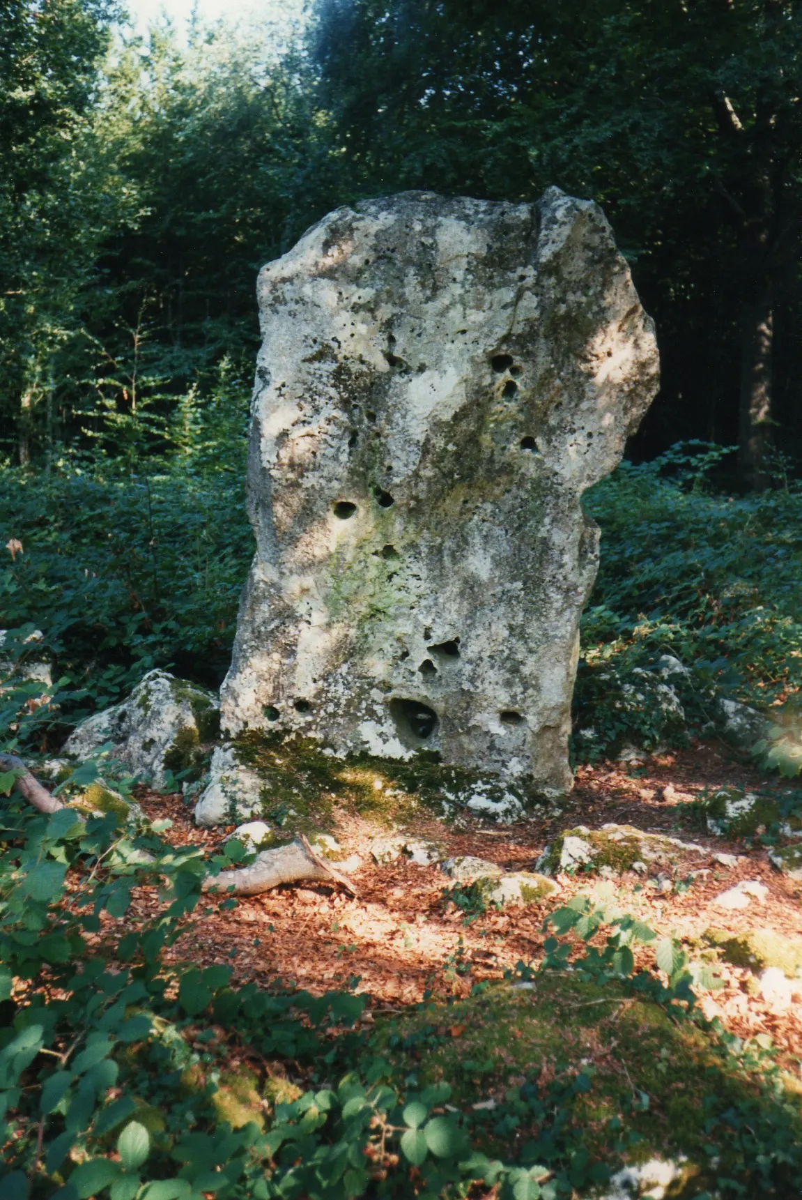 Menhir du cheval gris