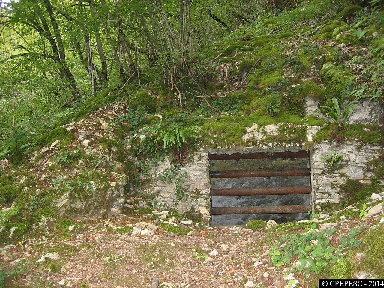 Grotte en Y