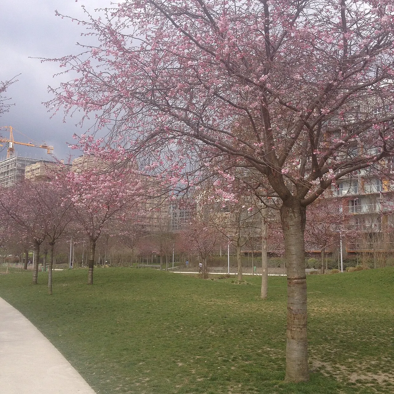 Parc Clichy-Batignolles Martin Luther King