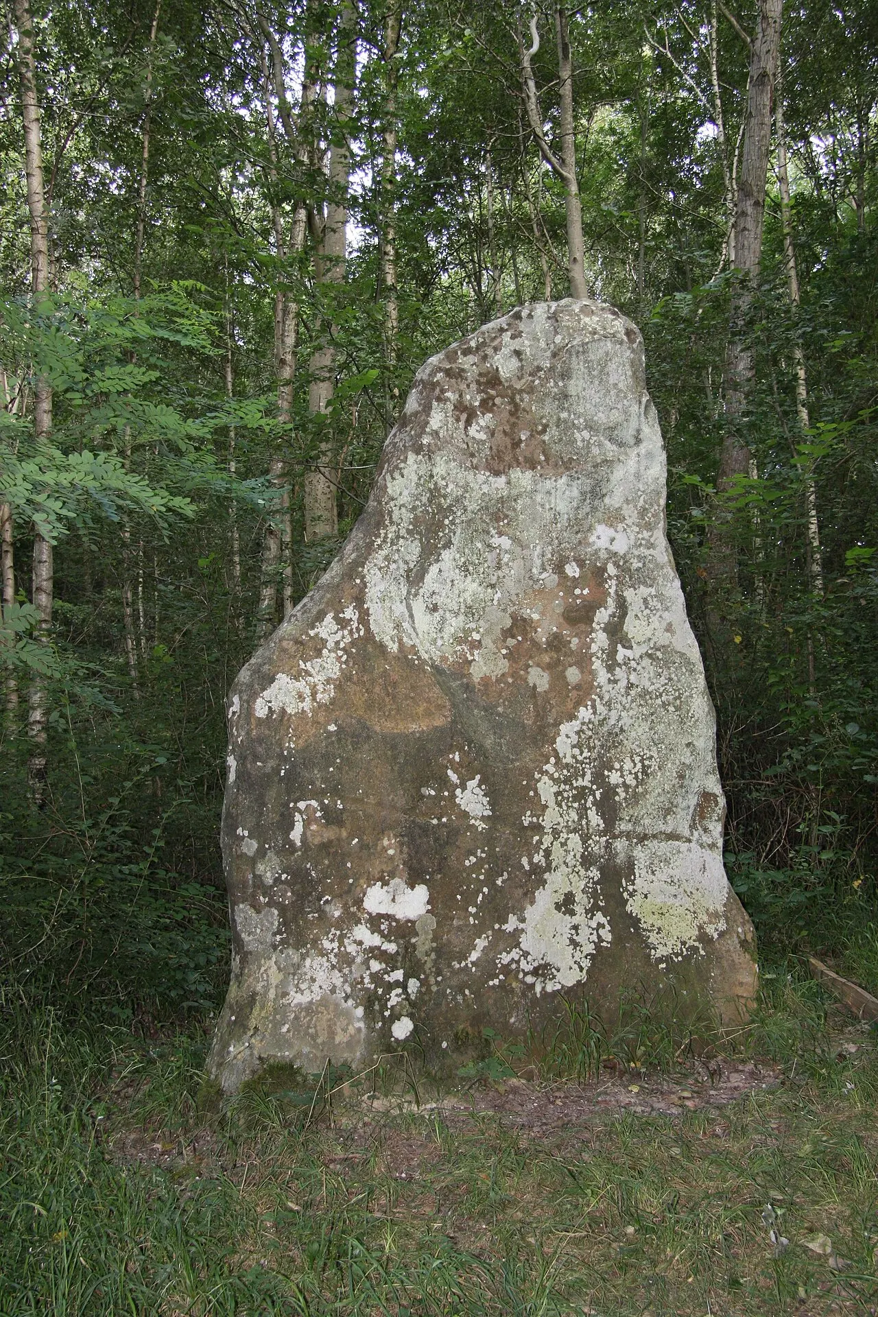 Menhir dit la Pierre Sainte Flodoberthe