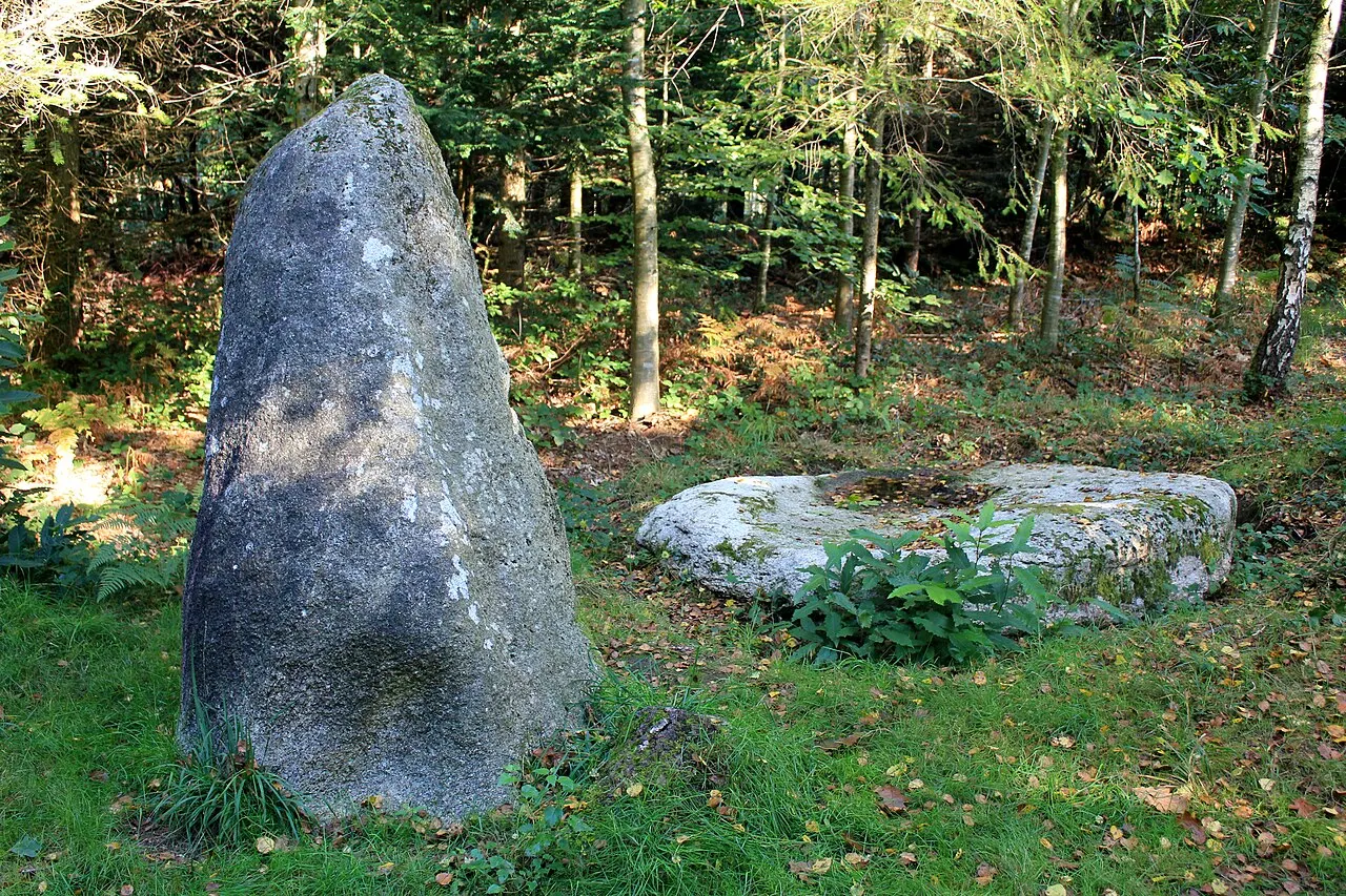 Alignement de menhirs dans la forêt domaniale de Floranges