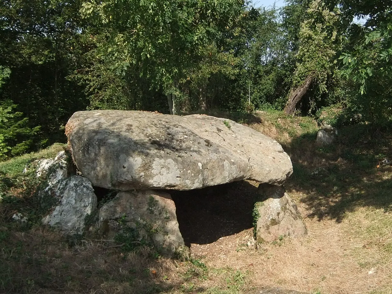 Dolmen dit Pierre-aux-Bignes