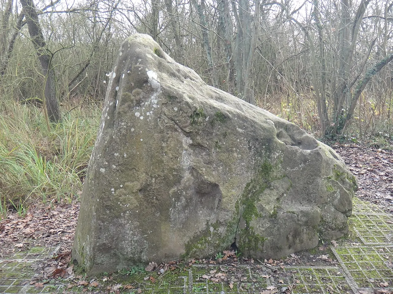 Menhir : La pierre qui pousse