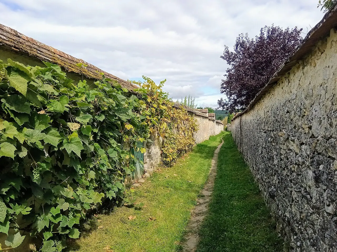 Les Longs Sillons