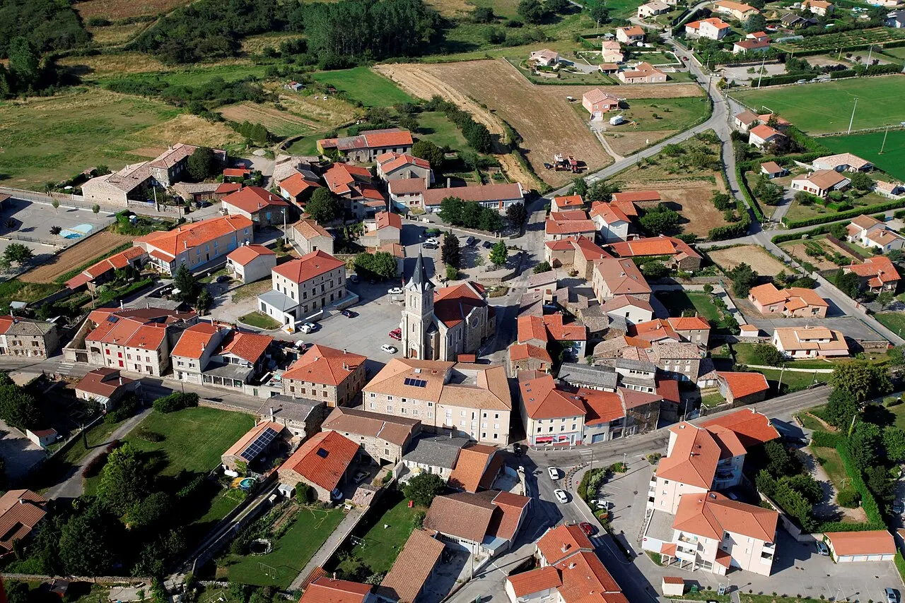 Félines