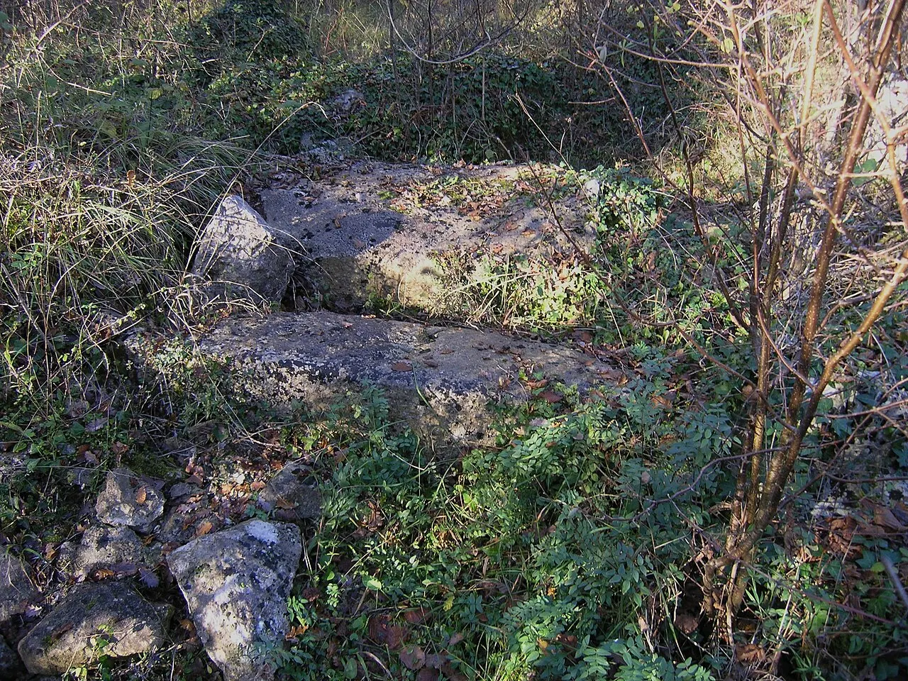 Dolmen du Bois de la Grosse Pierre