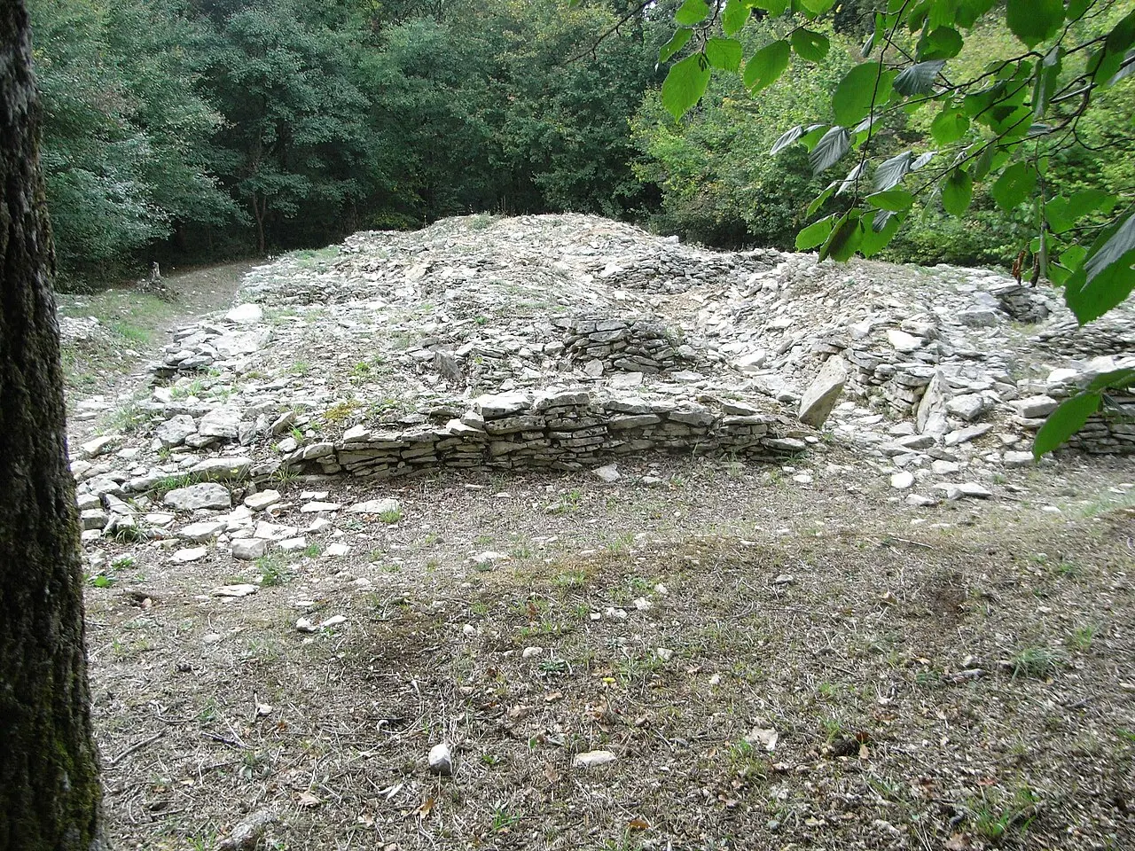 Tumulus B et C de Champ-Châlon