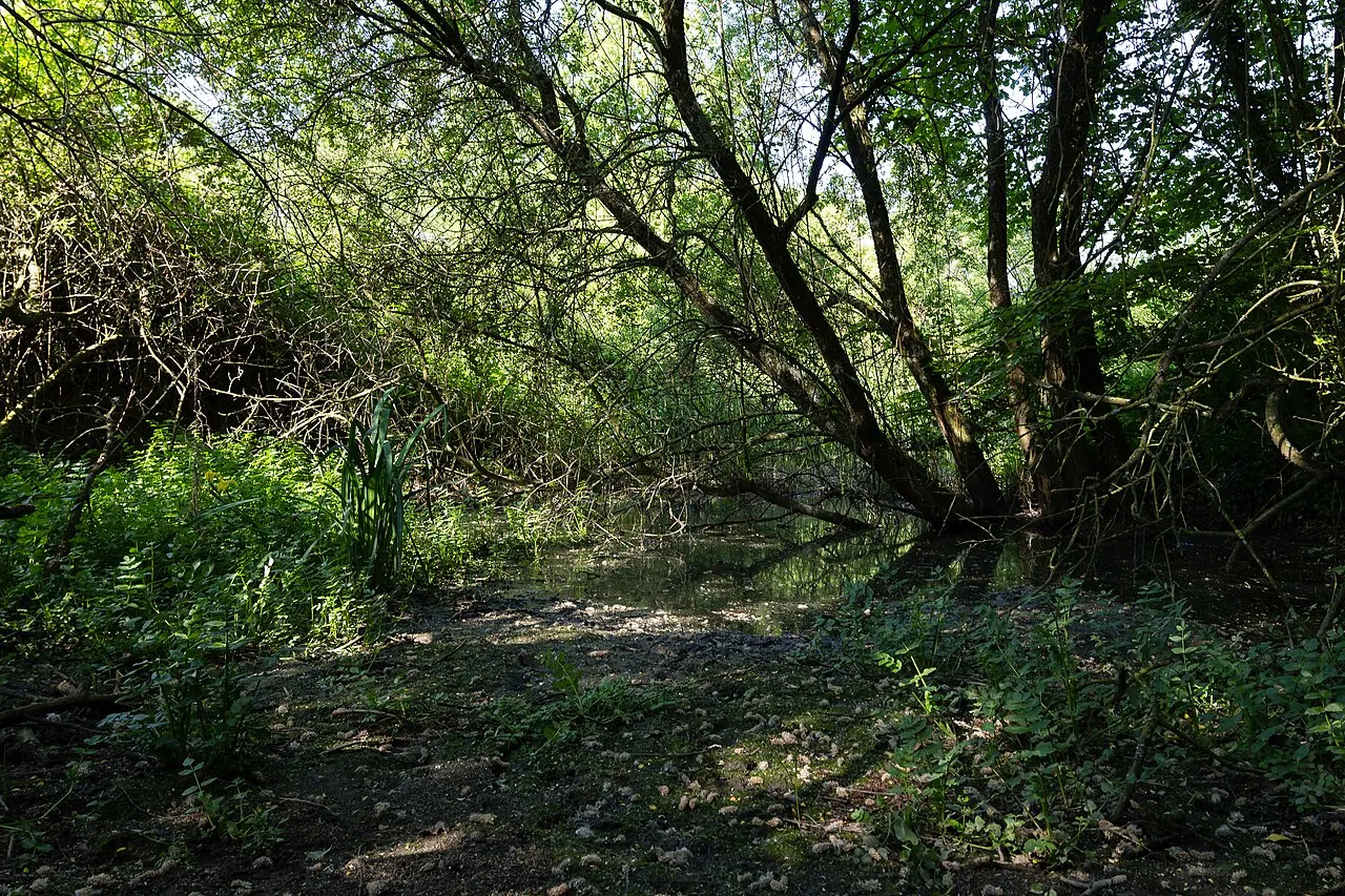Site Gallo Romain de l’Asile des Pêcheurs