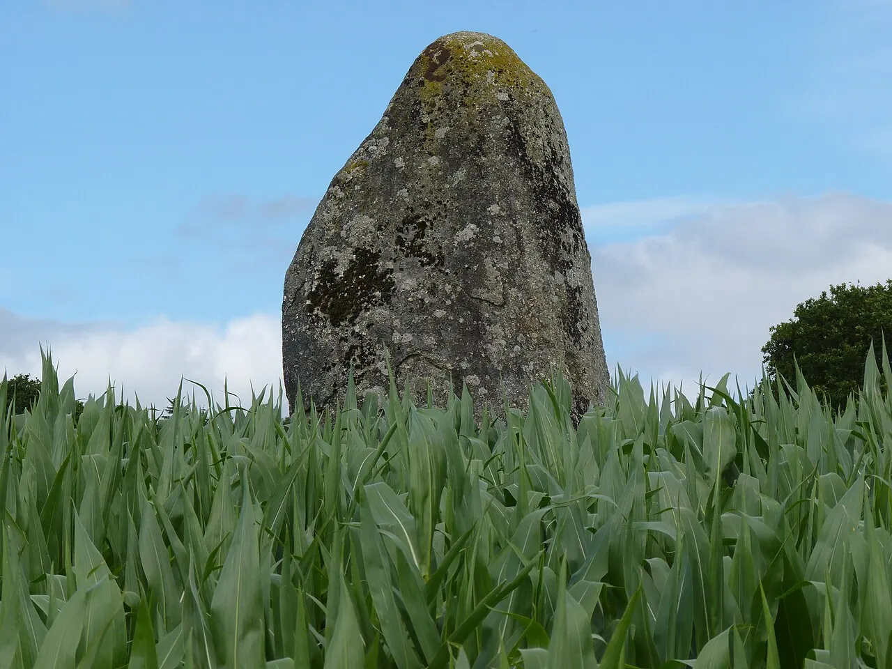 Menhir dit Pont-aux-Prêtres ou de la Ville-Juhel