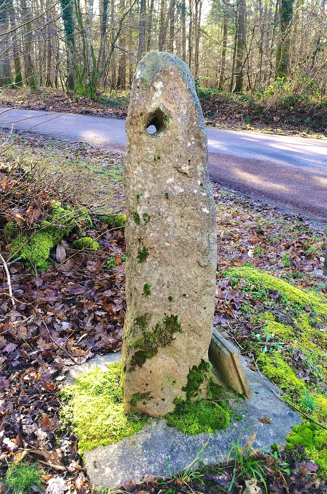 Menhir dit La Haute-Borne ou La Borne-Percée