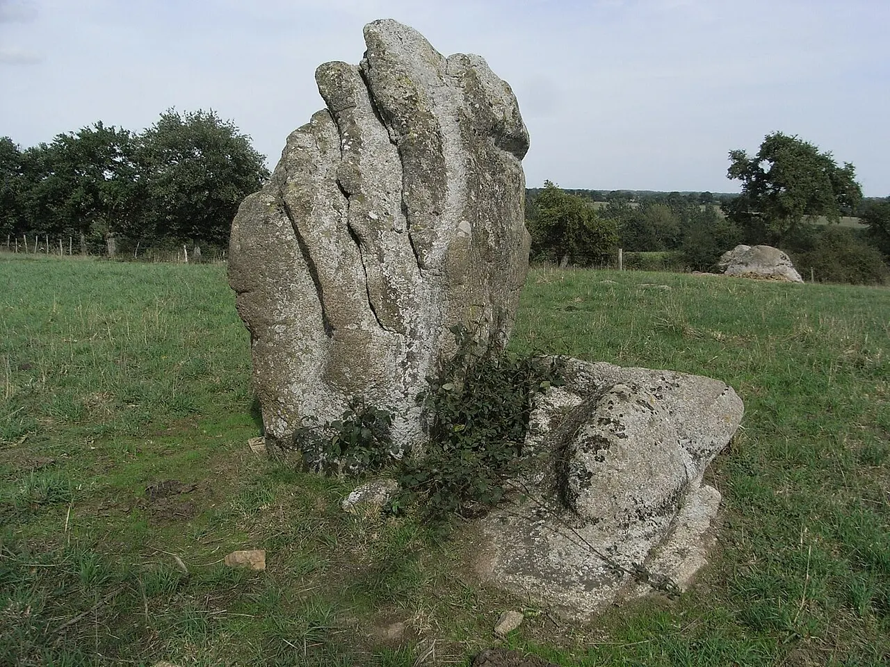 Menhir dit la pierre levée de Charbonneau