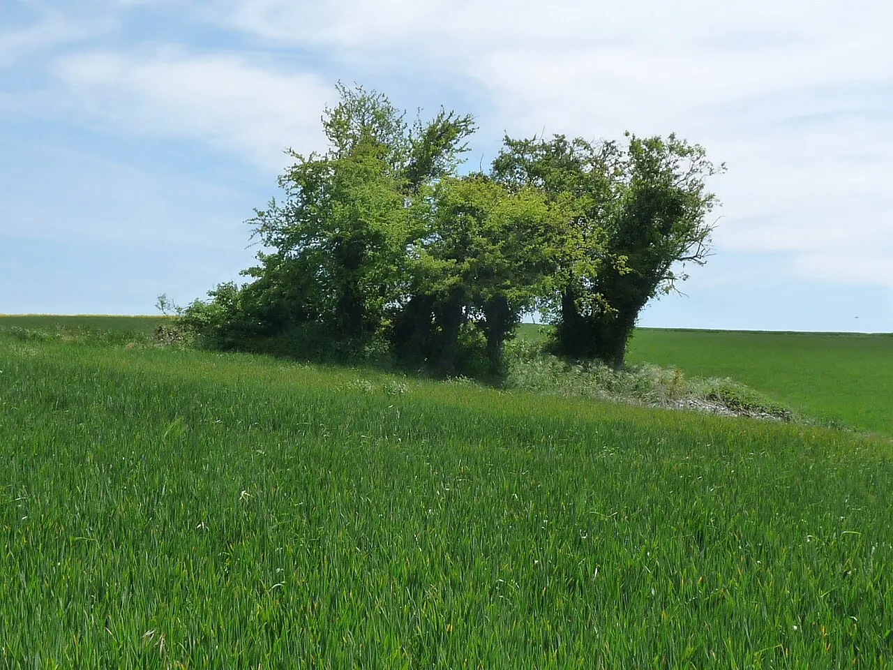 Dolmen de la Pierre Folle