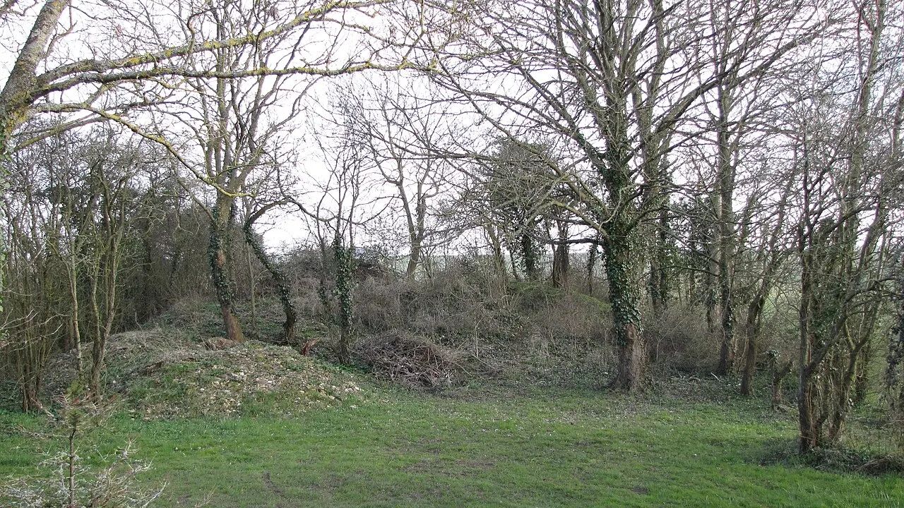 Tumulus dit des Hogues