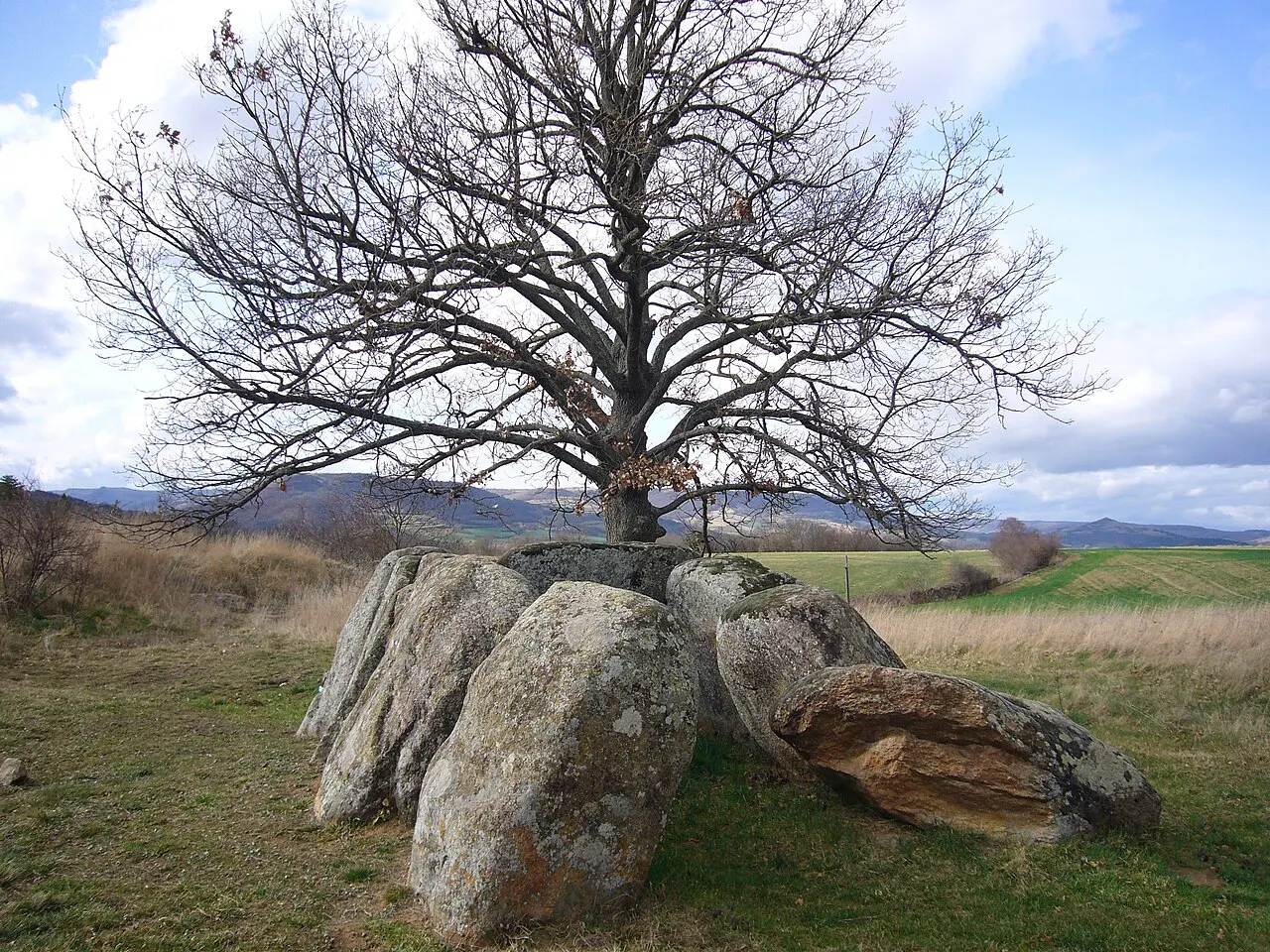 Usteau du Loup