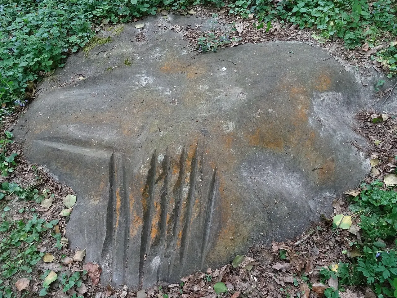 Polissoir du Bois de la Charmille