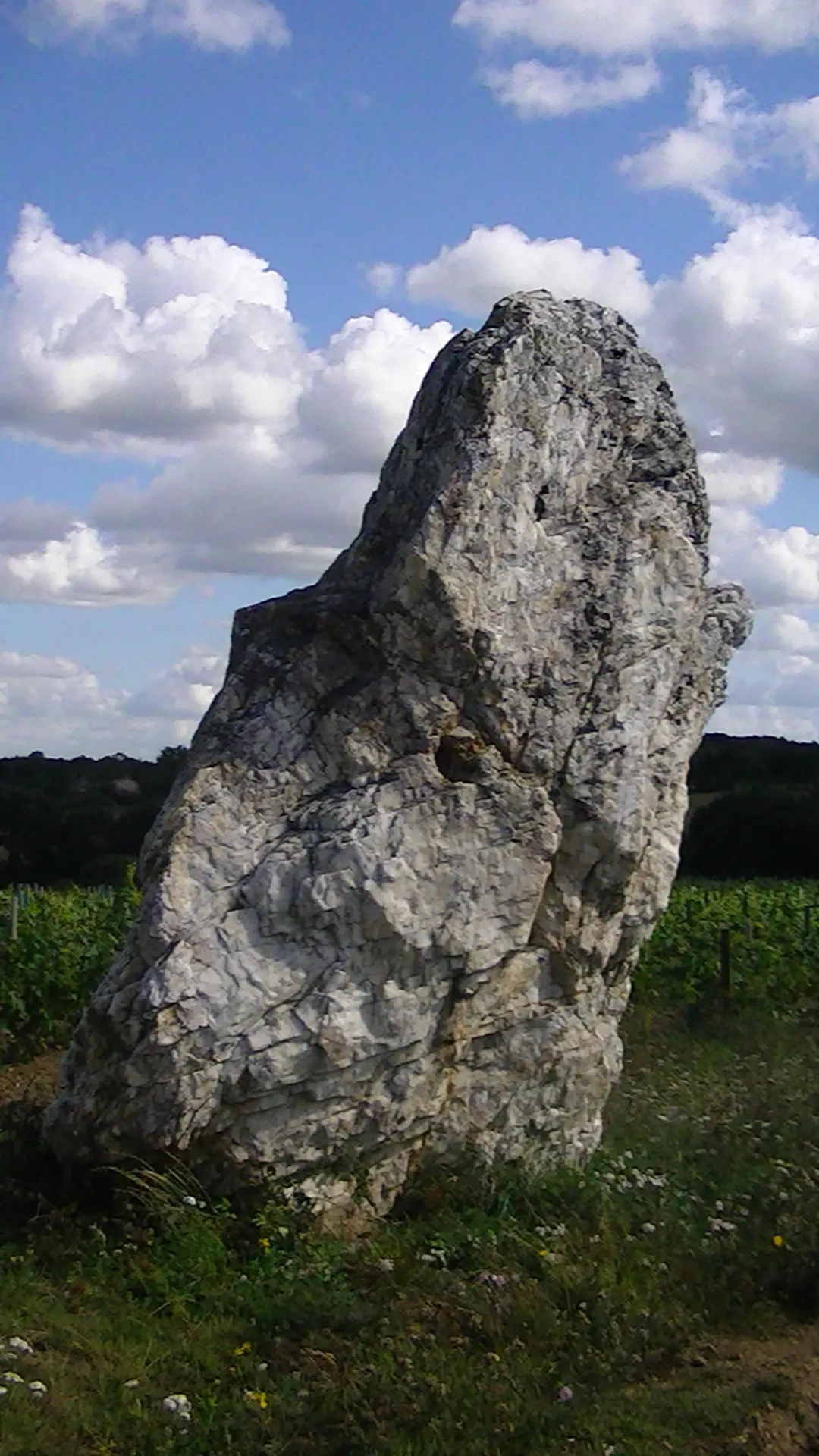 Menhir de la Pierre Blanche